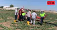 Ankara'da eğitim helikopteri düştü: Temelli'deki kazada 2 personel yaralandı