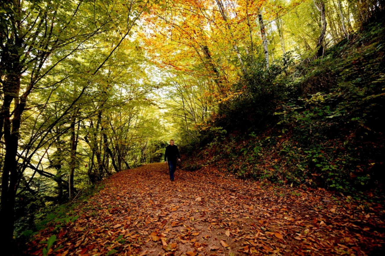 Kastamonu'daki Loç Vadisi ziyaretçilerini sonbahar renkleriyle ağırlıyor 9