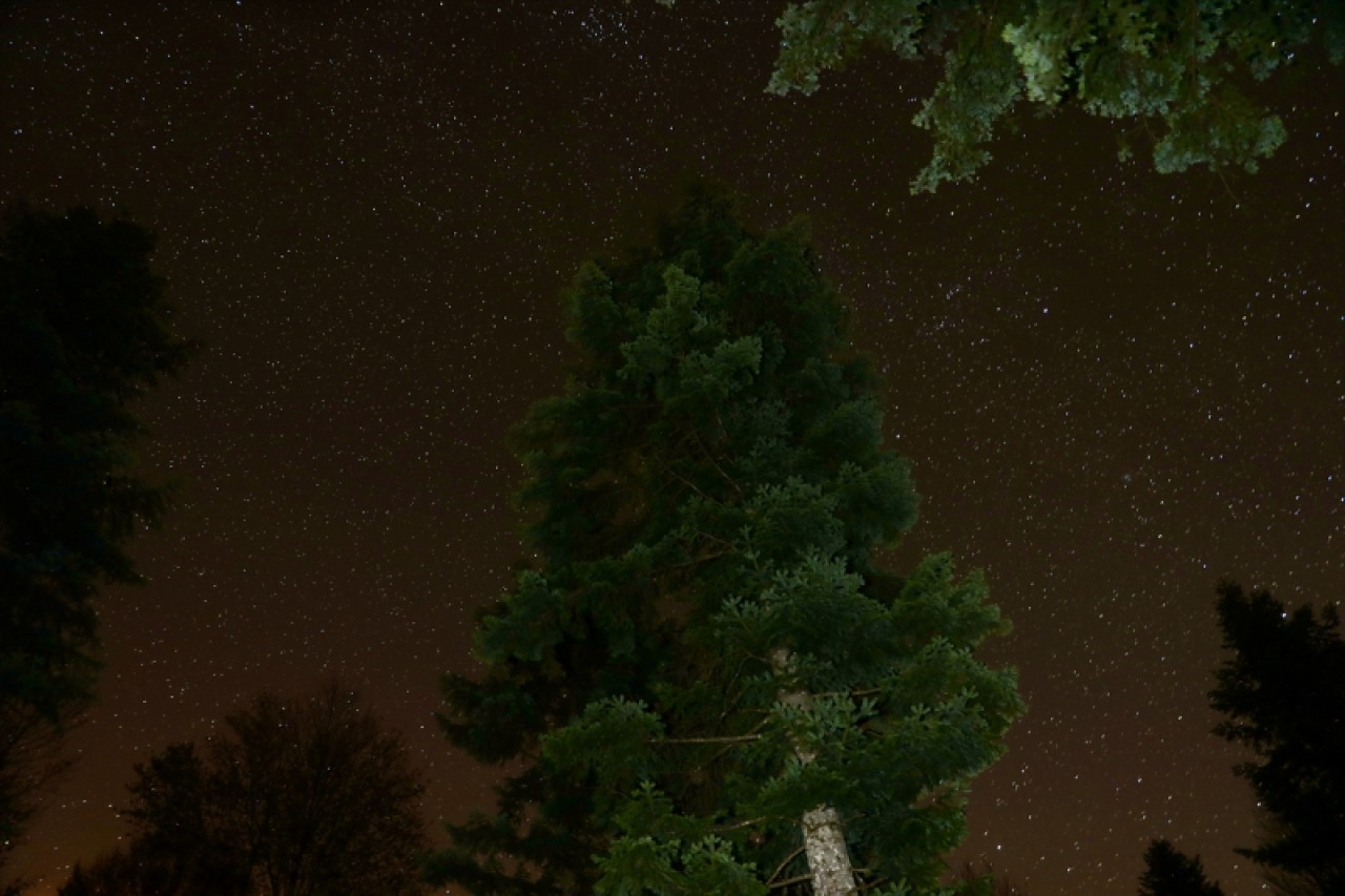 Çam Dağı'nda yıldızların görsel şöleni 7