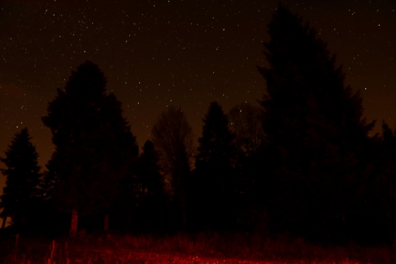 Çam Dağı'nda yıldızların görsel şöleni 4