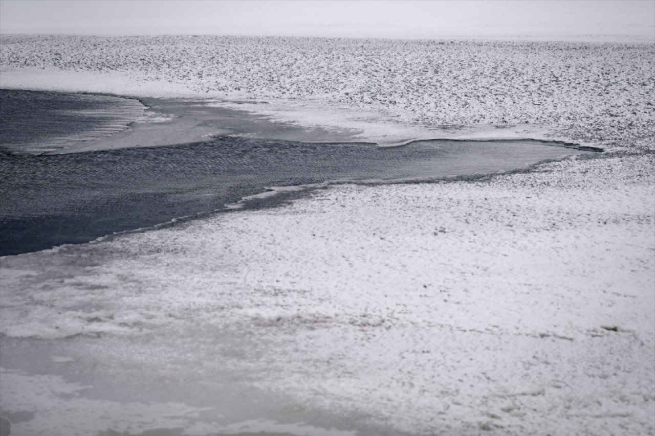 Horseshoe Adası'ndaki göller Türkiye'nin de teklifiyle "özel koruma alanı" olacak 9