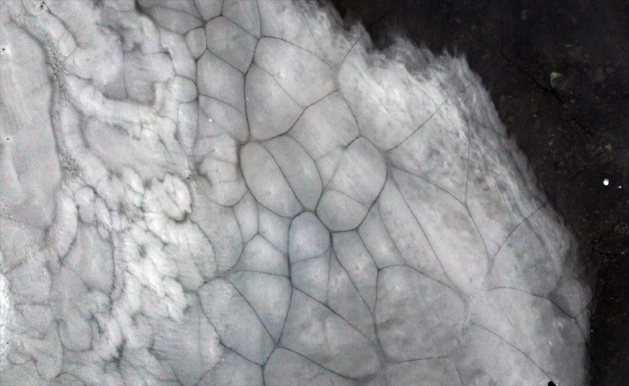 Horseshoe Adası'ndaki göller Türkiye'nin de teklifiyle "özel koruma alanı" olacak 15