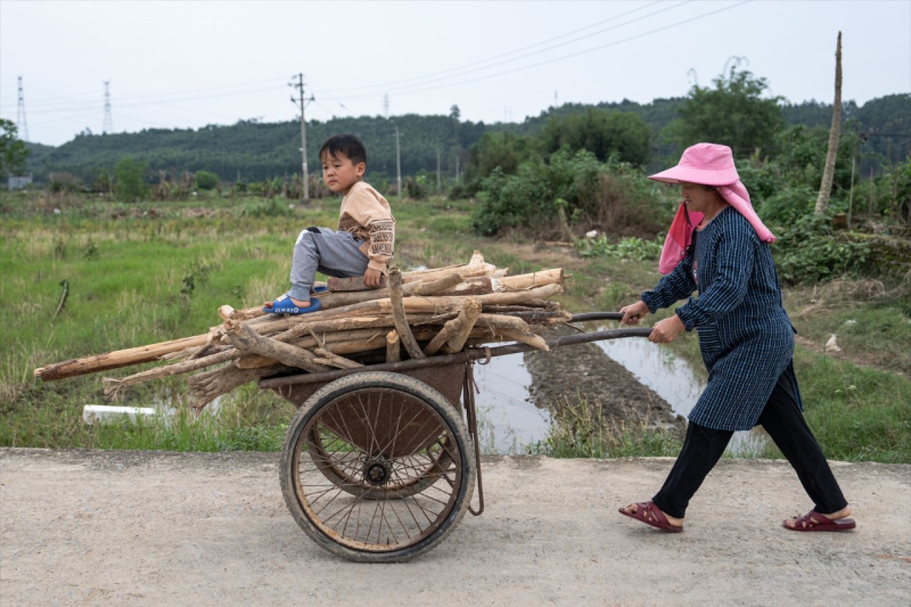 Çin'de yaşanan sele dönüşen şiddetli yağış Guangdong eyaletini vurdu 14