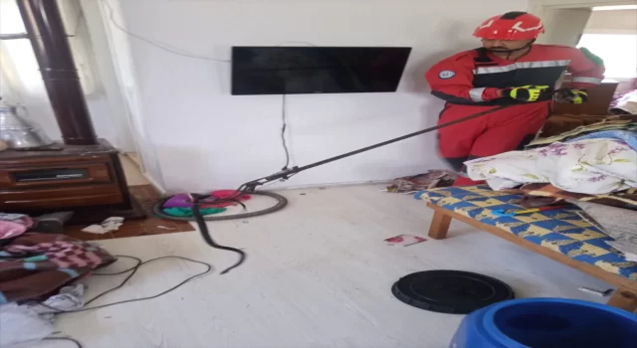 Fethiye’de eve giren yılanı itfaiye ekibi çıkardı