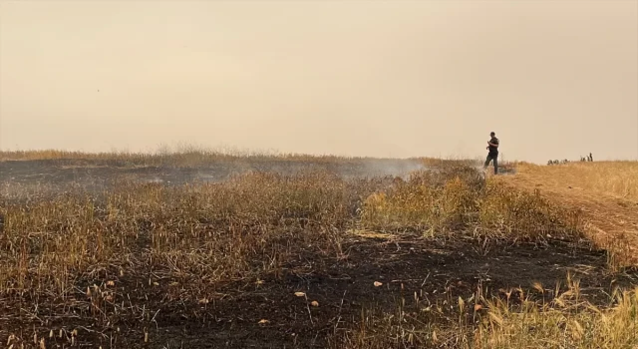 Gaziantep’te 15 dönüm tarım arazisi yangında zarar gördü