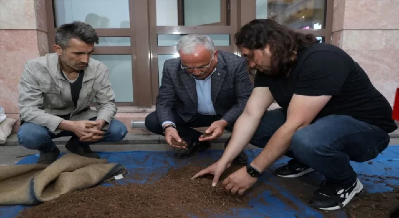 Ordu’da fındık zurufundan hayvan yemi üretildi