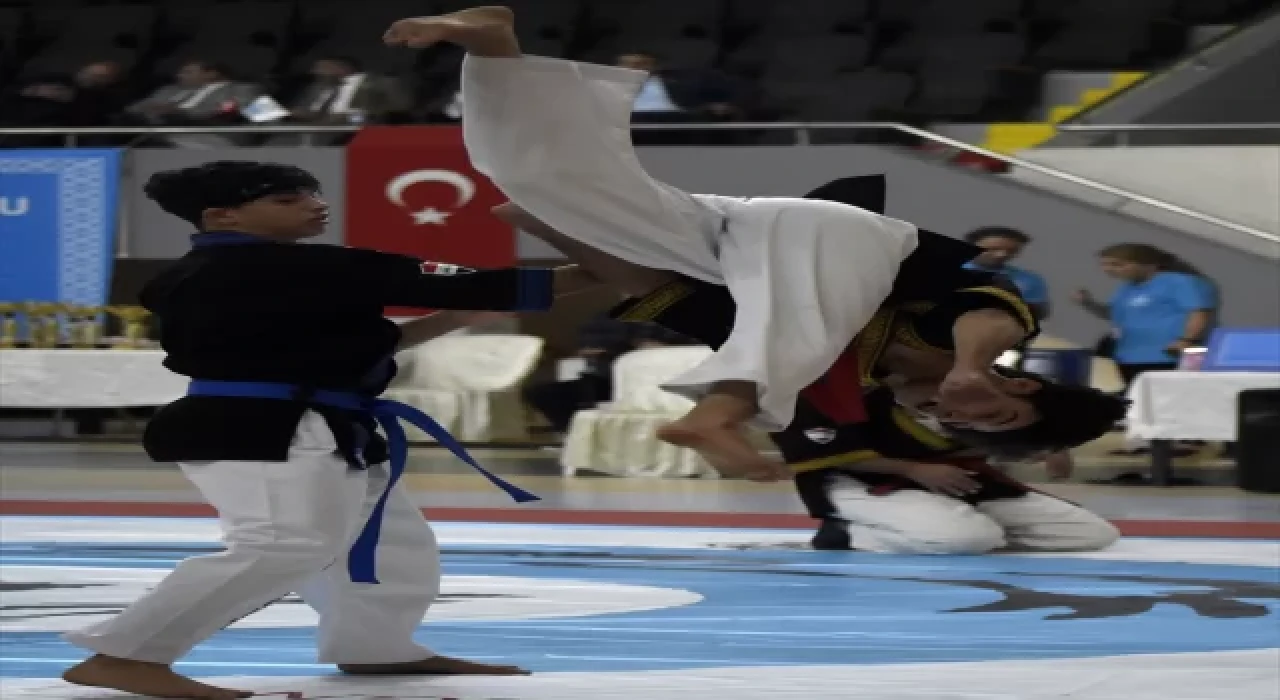 Alpagut Dünya Kupası müsabakaları Bursa’da tamamlandı