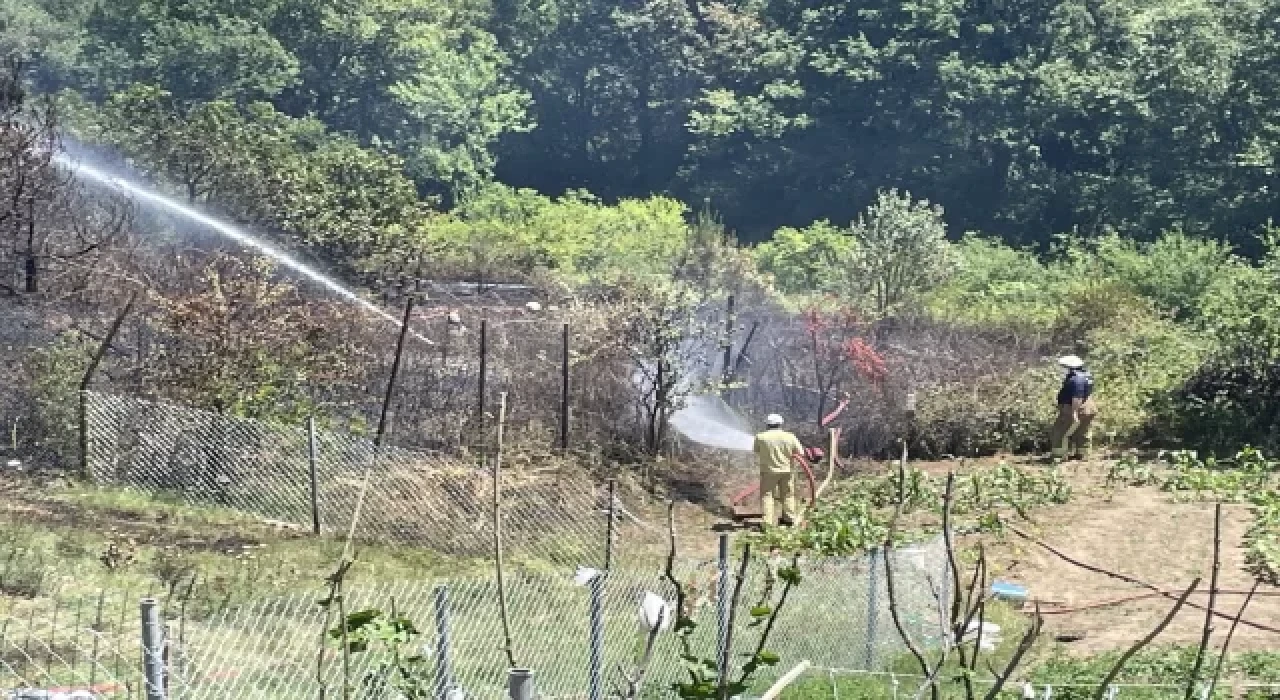 Beykoz’da ormanlık alanda çıkan yangın söndürüldü
