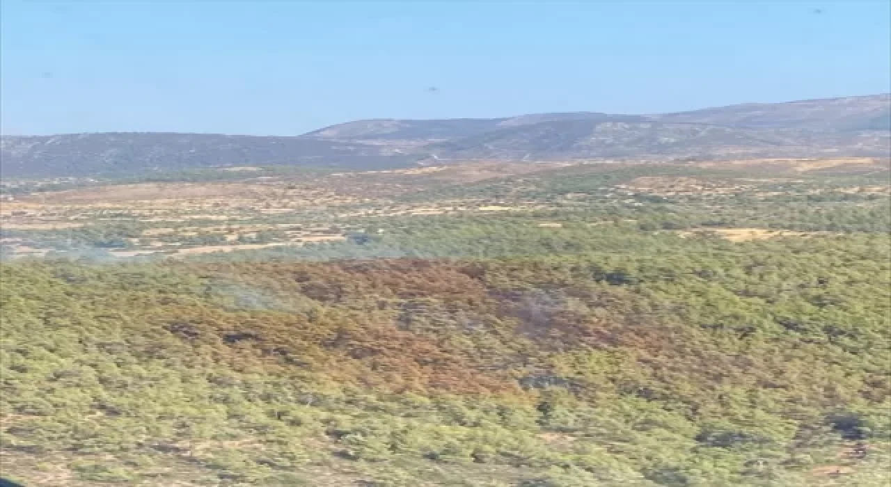 Bodrum’da ormanlık alanda çıkan yangın söndürüldü