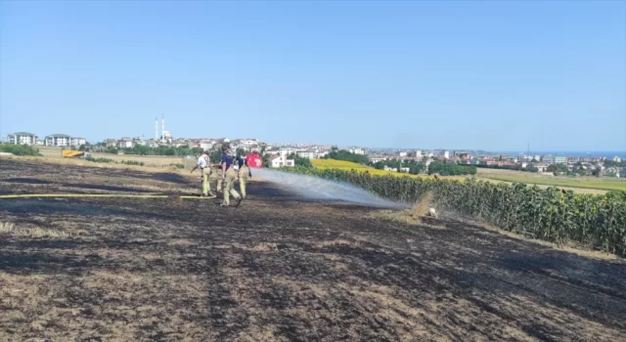 Büyükçekmece’de otluk alanda çıkan yangın söndürüldü