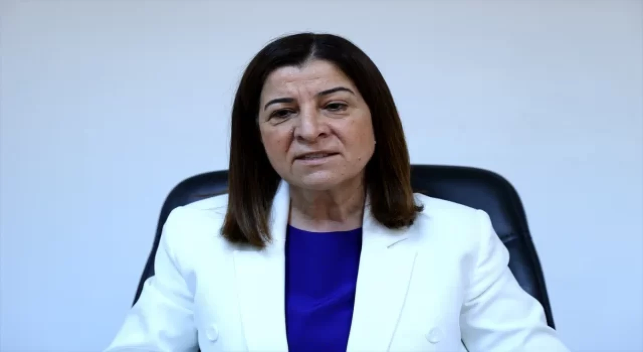 AK Parti’li Aksal, çayır tırtılının Edirne’de büyük ölçüde kontrol altına alındığını belirtti