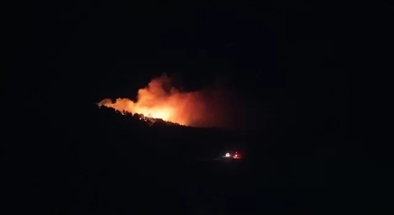 Adana’da çıkan orman yangınına müdahale ediliyor