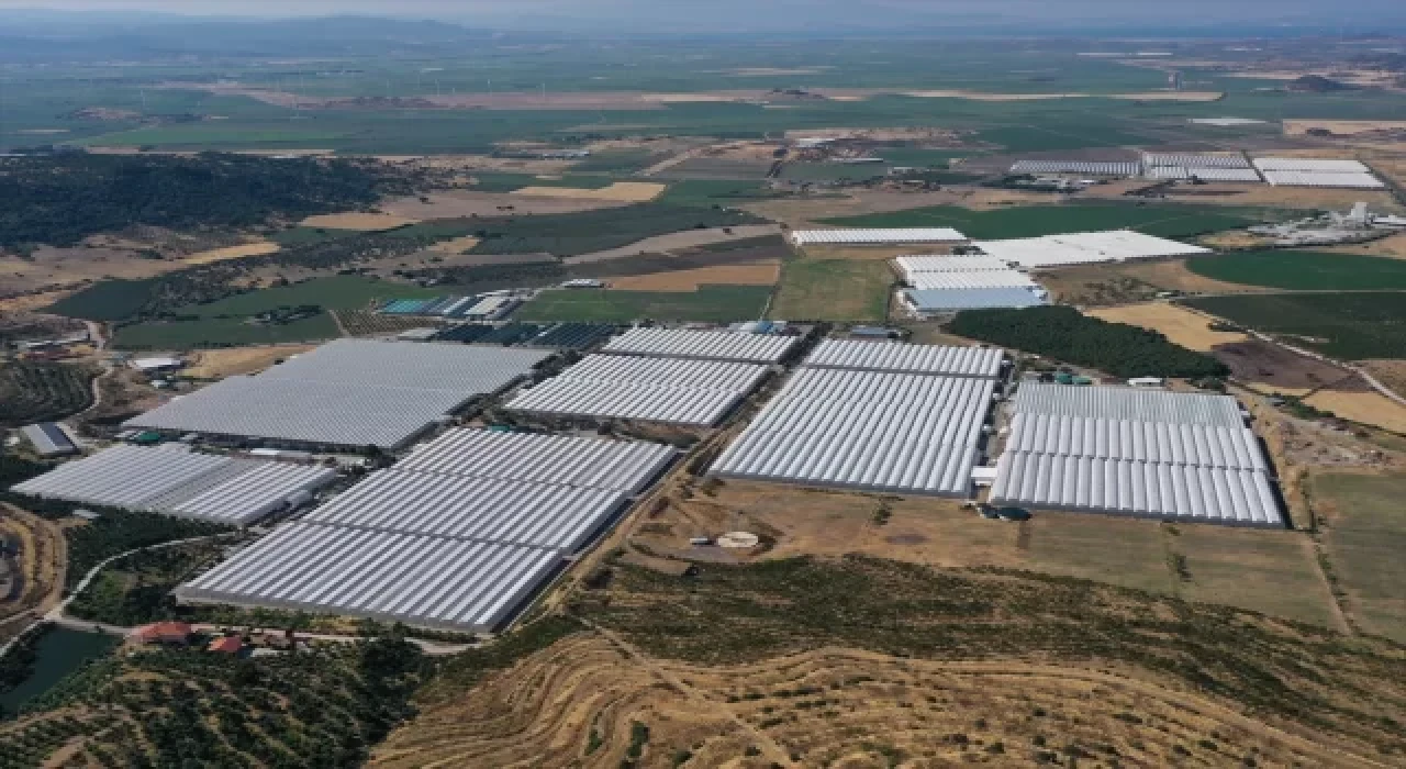 GRAFİKLİ  Çevreci ve ekonomik jeotermal seralar yüzde 400 büyüdü