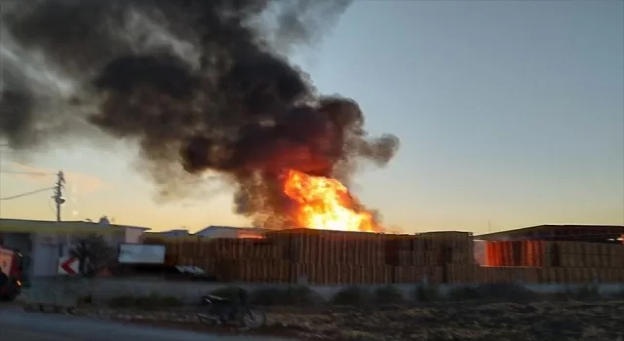 İzmir’de palet fabrikasında çıkan yangın söndürüldü