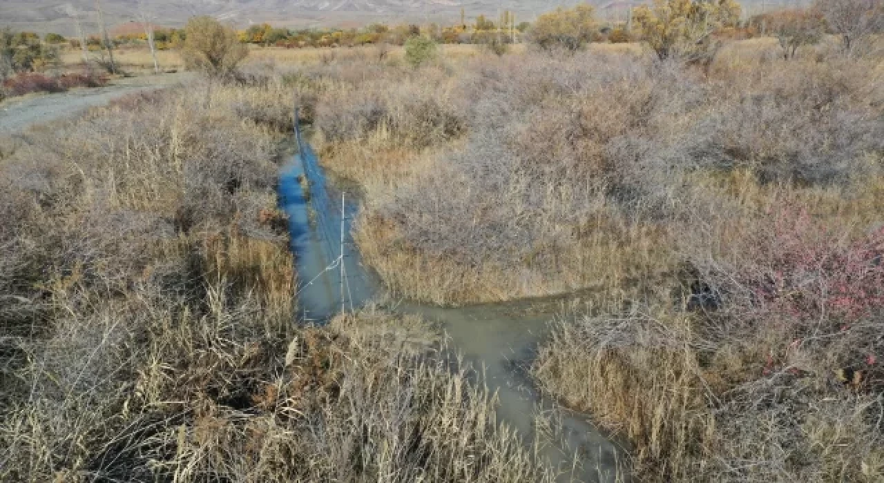 ”Aras Kuş Cenneti”nde bu yıl 5 bin 125 kuş halkalandı