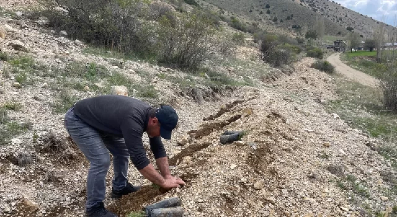 Hırsızlık yaptığı iddia edilen kişi ”fidan dikme” şartıyla ceza almaktan kurtuldu