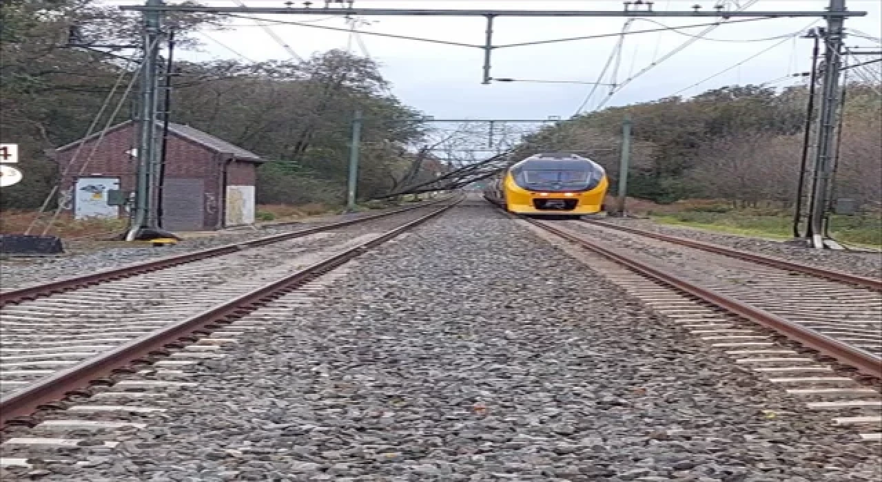 Hollanda’da Ciaran Fırtınası sebebiyle üzerine ağaç devrilen 1 kişi öldü