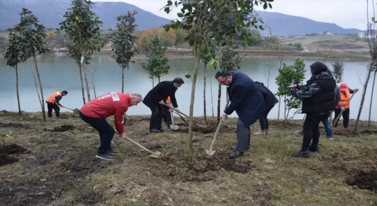 TİKA, Arnavutluk’ta fidan dikti