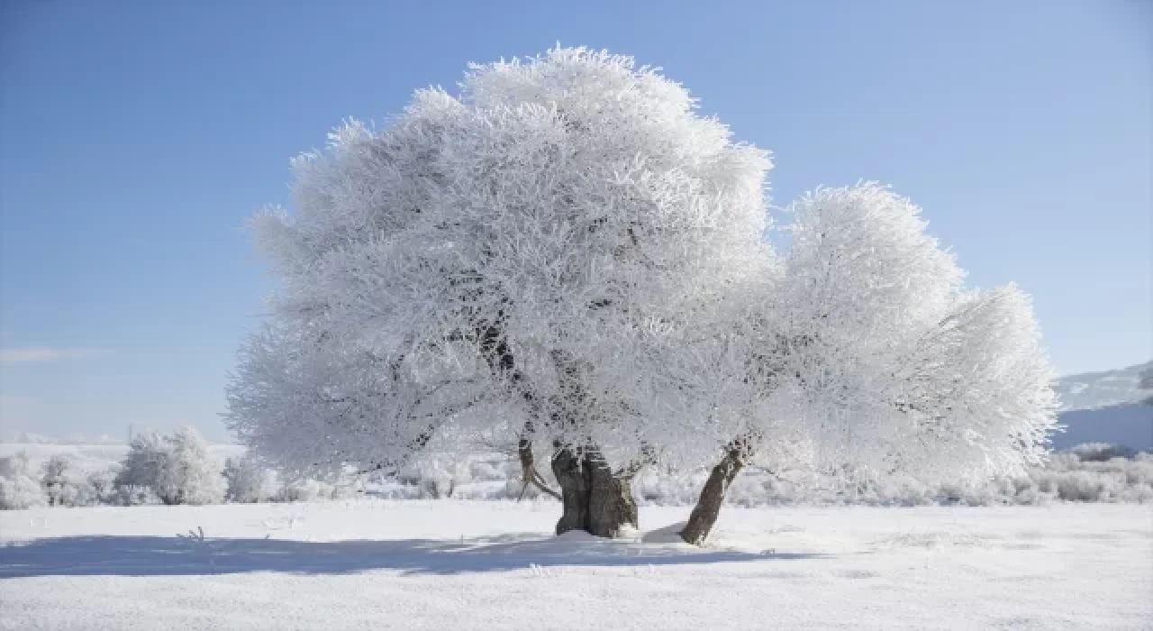Erzurum, Ağrı, Ardahan ve Tunceli buz kesti