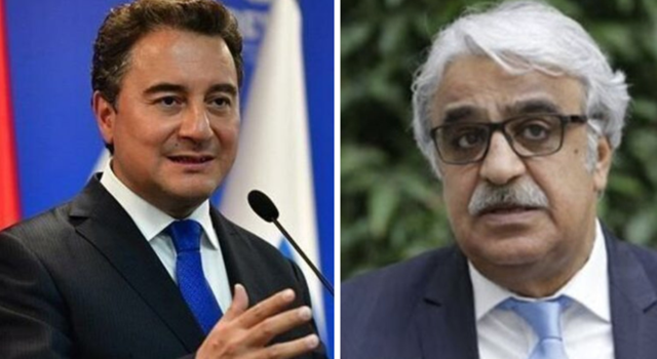 Babacan: Bu haksız kararı kuvvetli bir şekilde kınıyoruz