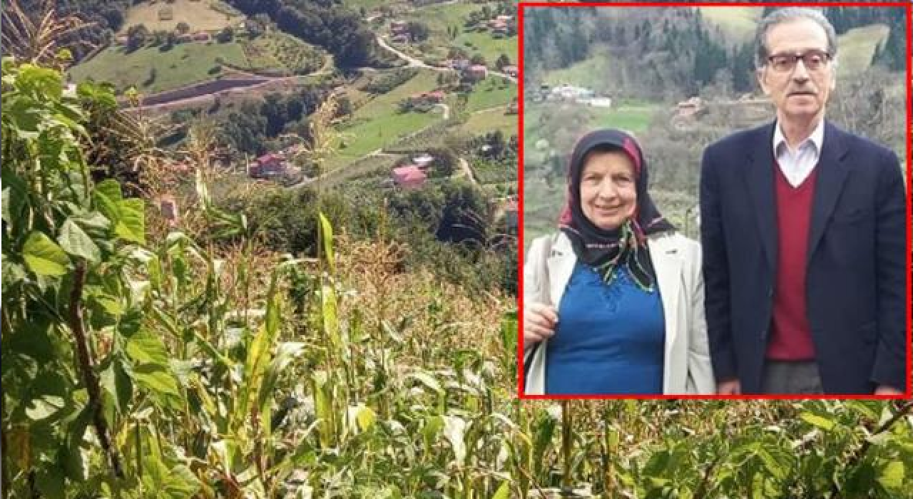 Bahçedeki eşini domuz zannedip öldüren kocadan savunma