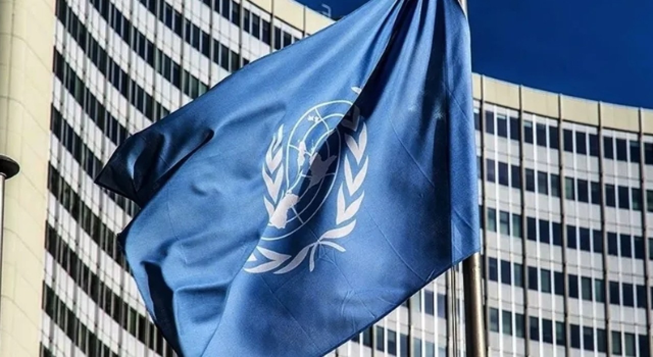 "BM, İnsan Hakları Eylem Planı'nında Türkiye'ye desteğe hazır"