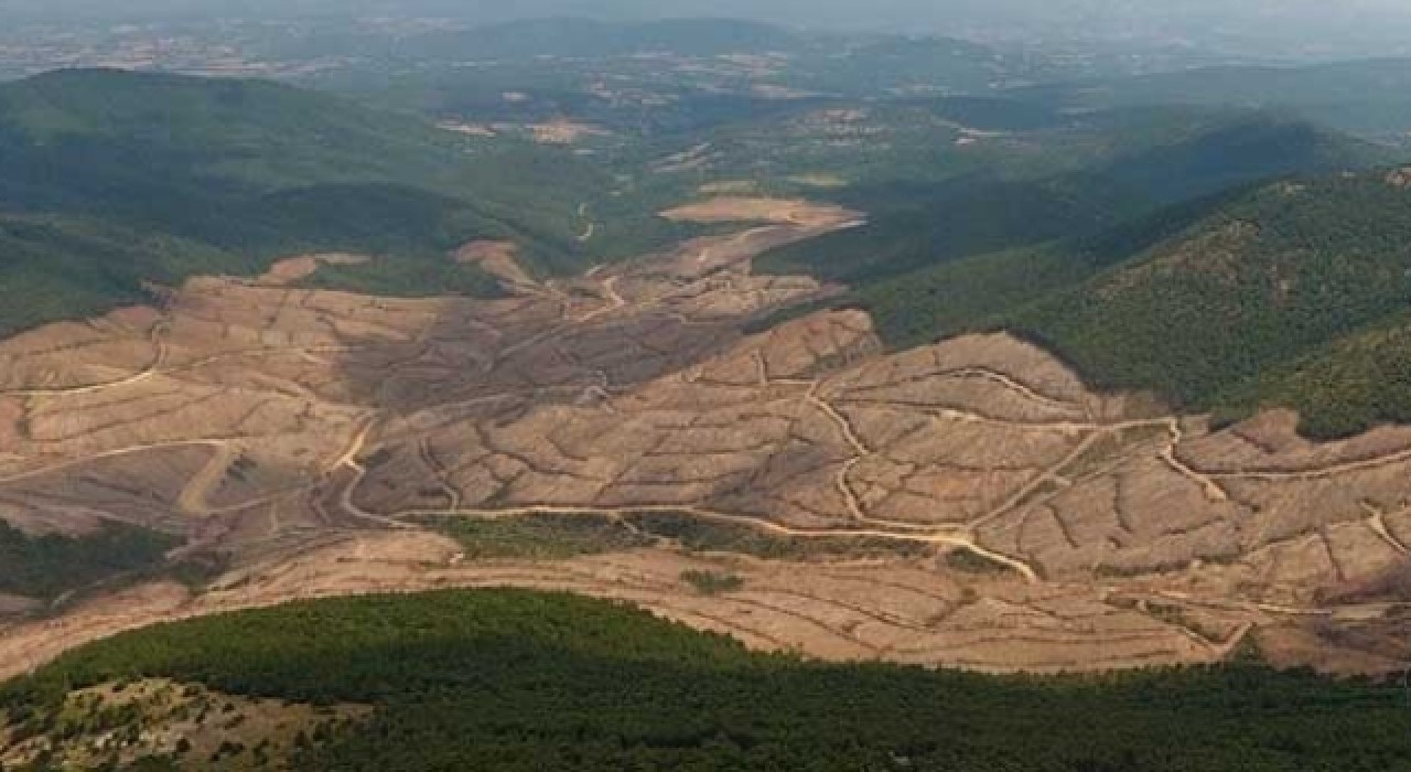 Hangisi doğru: Tarım Bakanlığı: Ruhsat iptal edildi/ Enerji Bakanlığı: İptal edilmedi