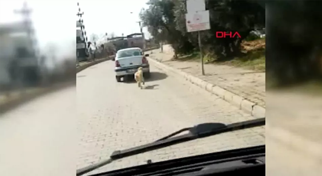 Köpeği, aracının arkasına bağlayıp koşturdu