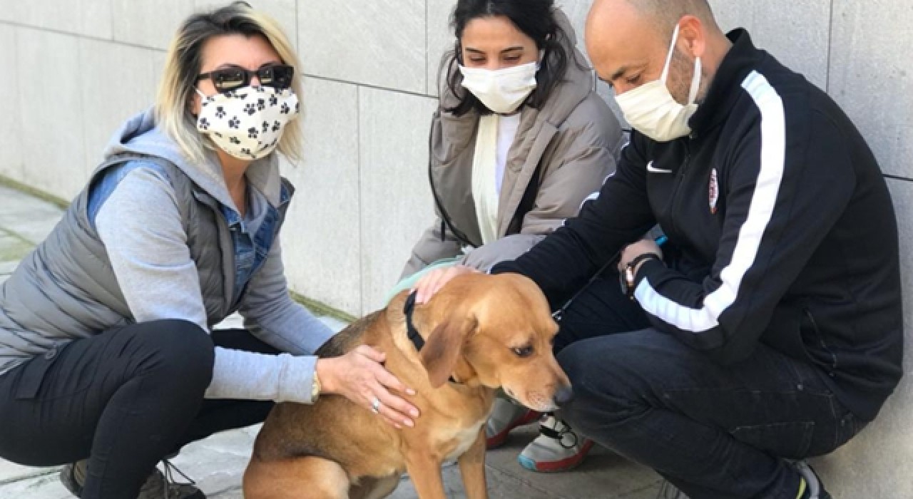 "Köpüş"ün canına kıyan sahibinin vasiyeti yerine getirildi