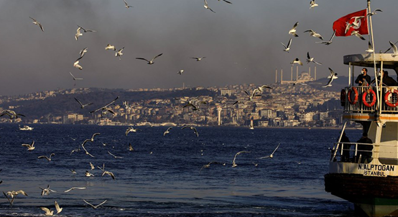 Lokanta, kafe, bar, pavyon, hamam, taziye, canlı müzik