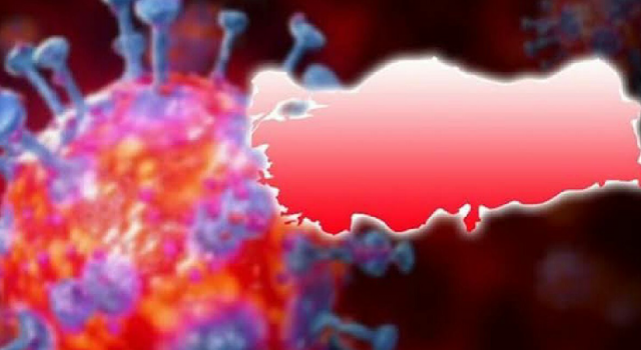 Türkiye'nin koronavirüsle bir yılı; Nasıl başladı, nereye gelindi?