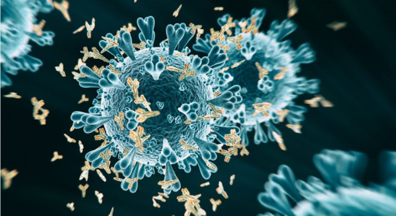 Bilim Kurulu sonrası açıklama: Hindistan varyantı Türkiye'de