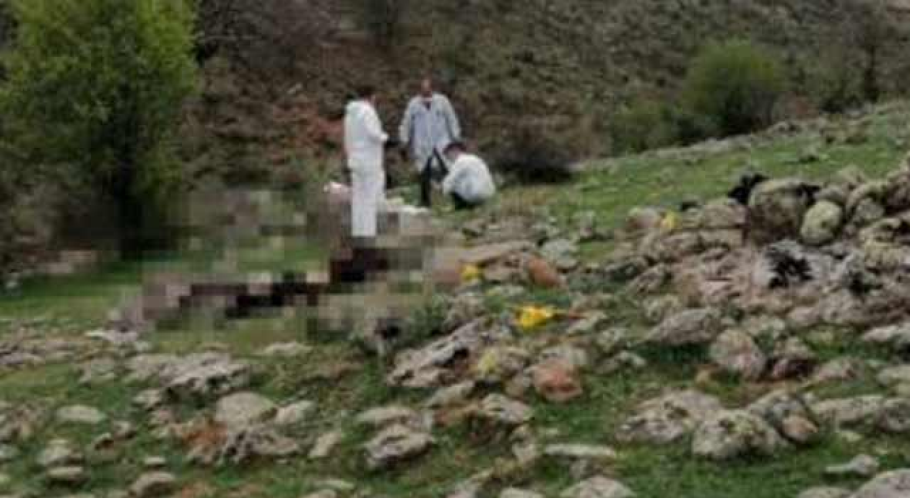 "Hayvan otlatma" kavgasında 2 ölü