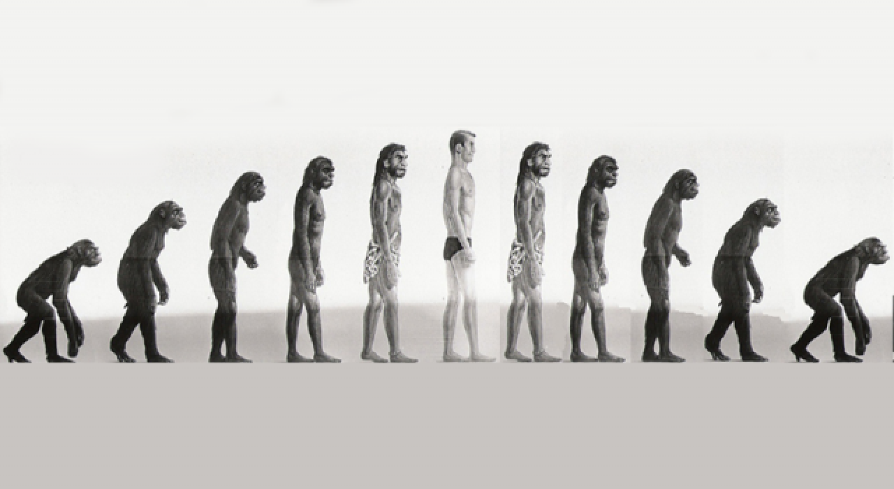 İnsanlar bir milyon yıl sonra neye benzeyecek?