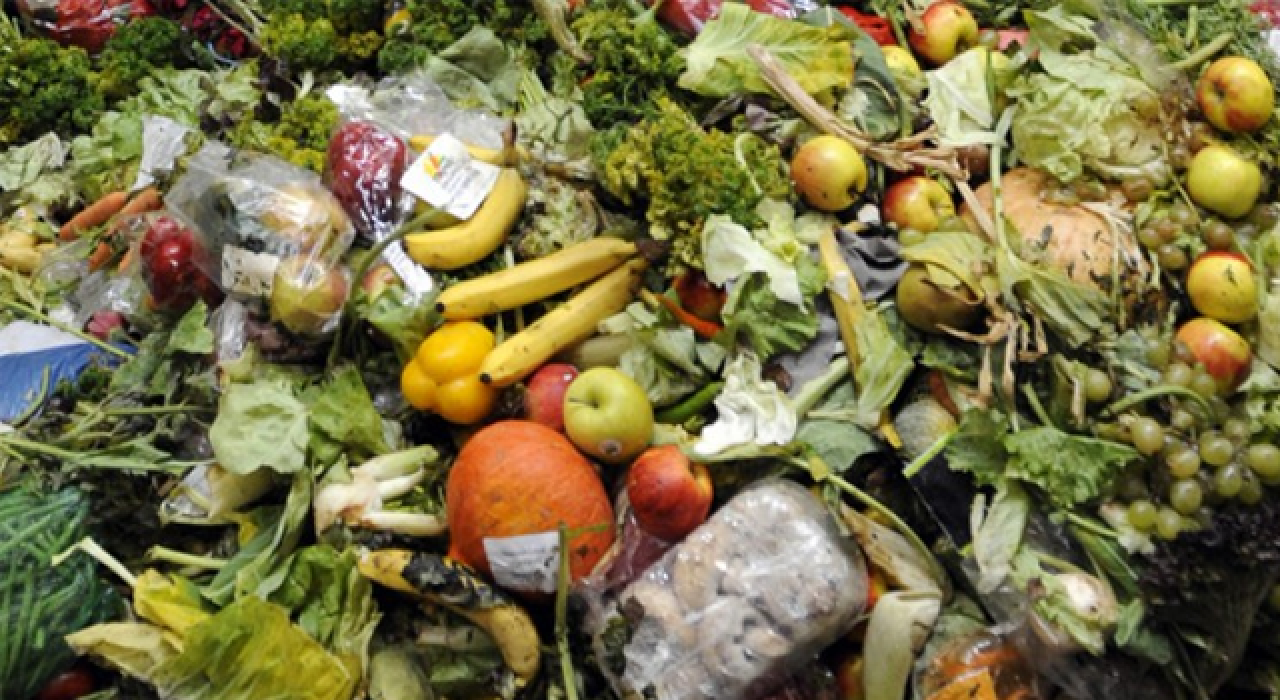 Tarladan çöplüğe! Fiyatlar yarı yarıya ucuzladı, alıcı yok