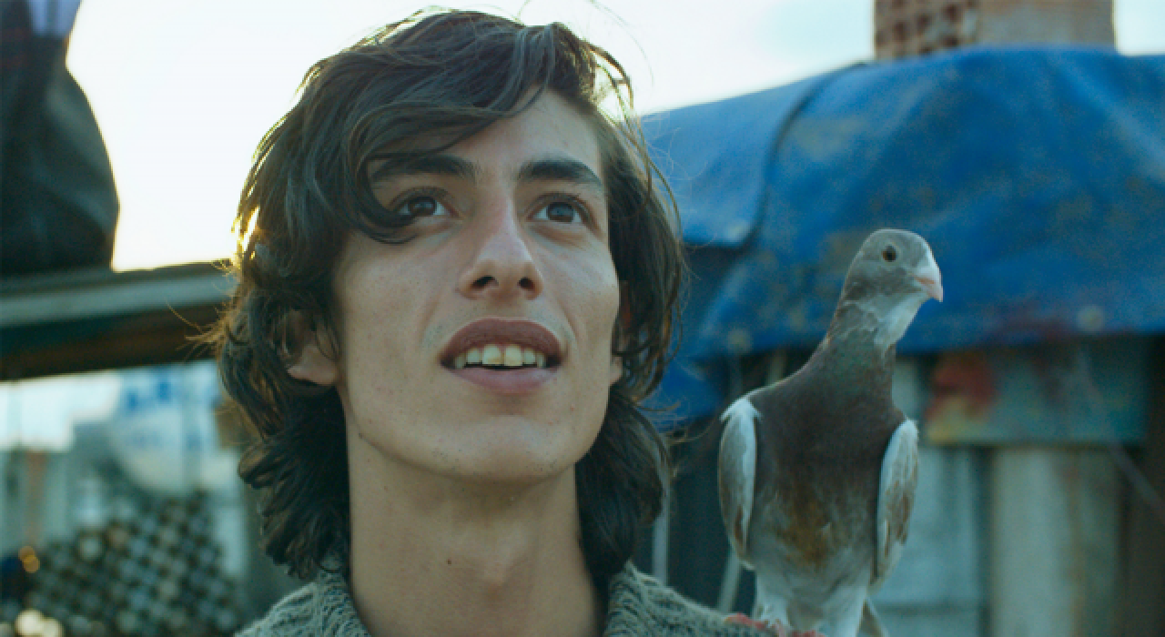 BluTV'den ödüllü yerli filmler seçkisi