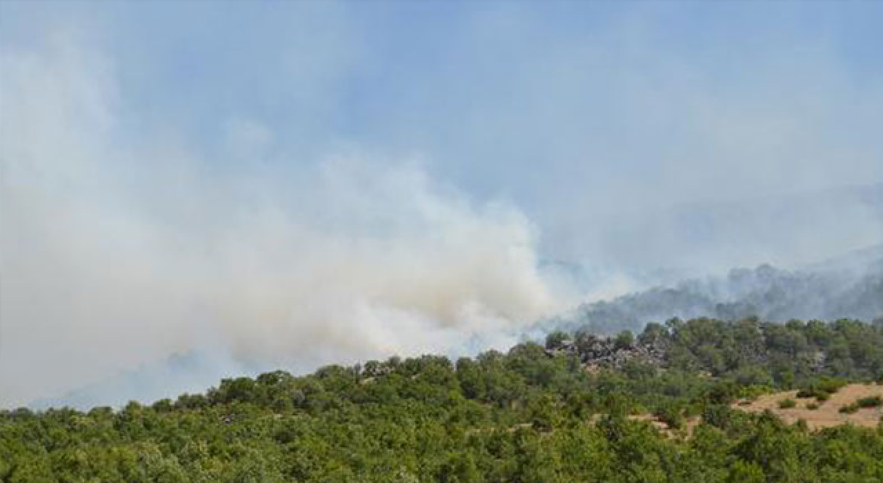 Görese Dağı 4 gündür yanıyor
