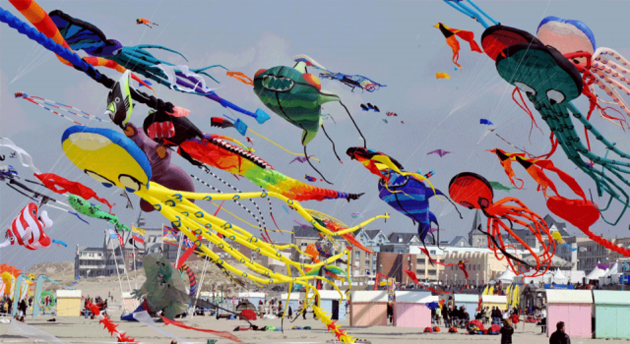 Kadıköy'de uçurtma festivali: Hayata dönüyoruz