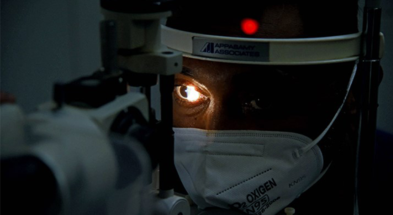 Kara mantar hastalığı kıtalar arası dolaşımda