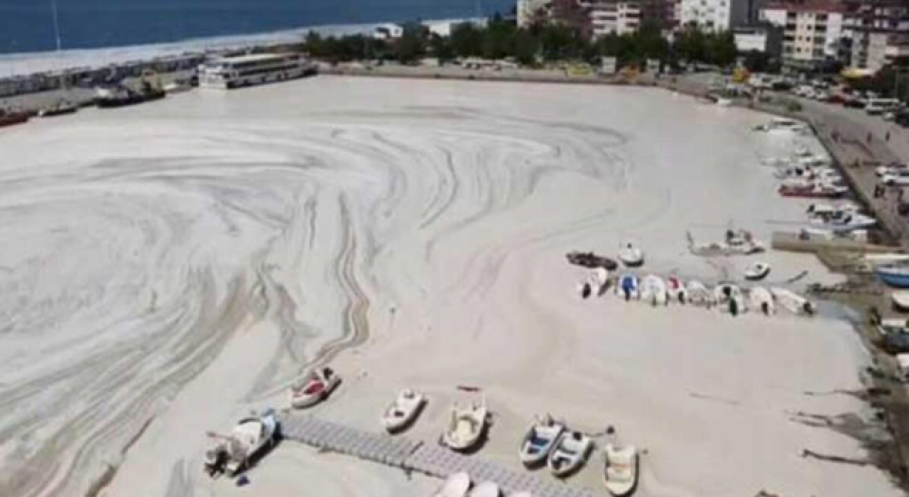 Prof. Saydam: Müsilaj ile Marmara 'ben öldüm' diyor, bir de Kanal İstanbul yapılırsa...