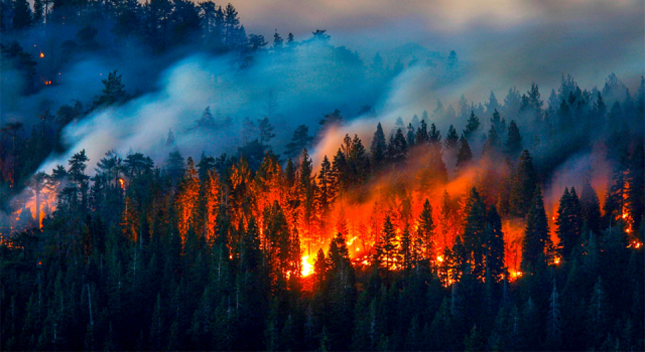 Adana’da orman yangını; havadan ve karadan müdahale ediliyor