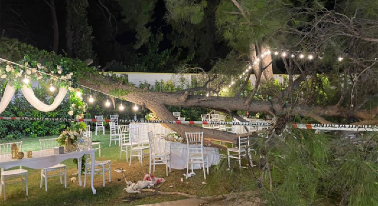 Antalya'da düğün sırasında ağaç devrildi: 1 ölü, 7 yaralı