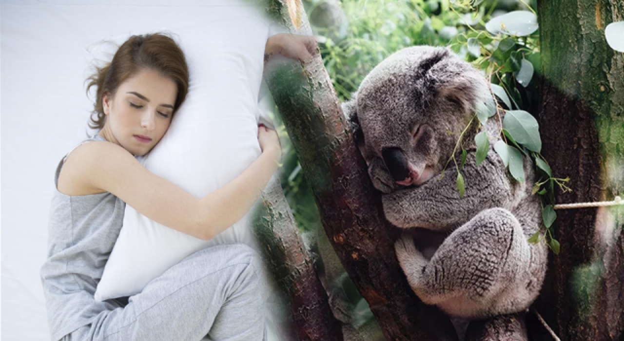 Bu Teknik, 2 Dakika İçerisinde Uykuya Dalmanın Garantisini Veriyor!