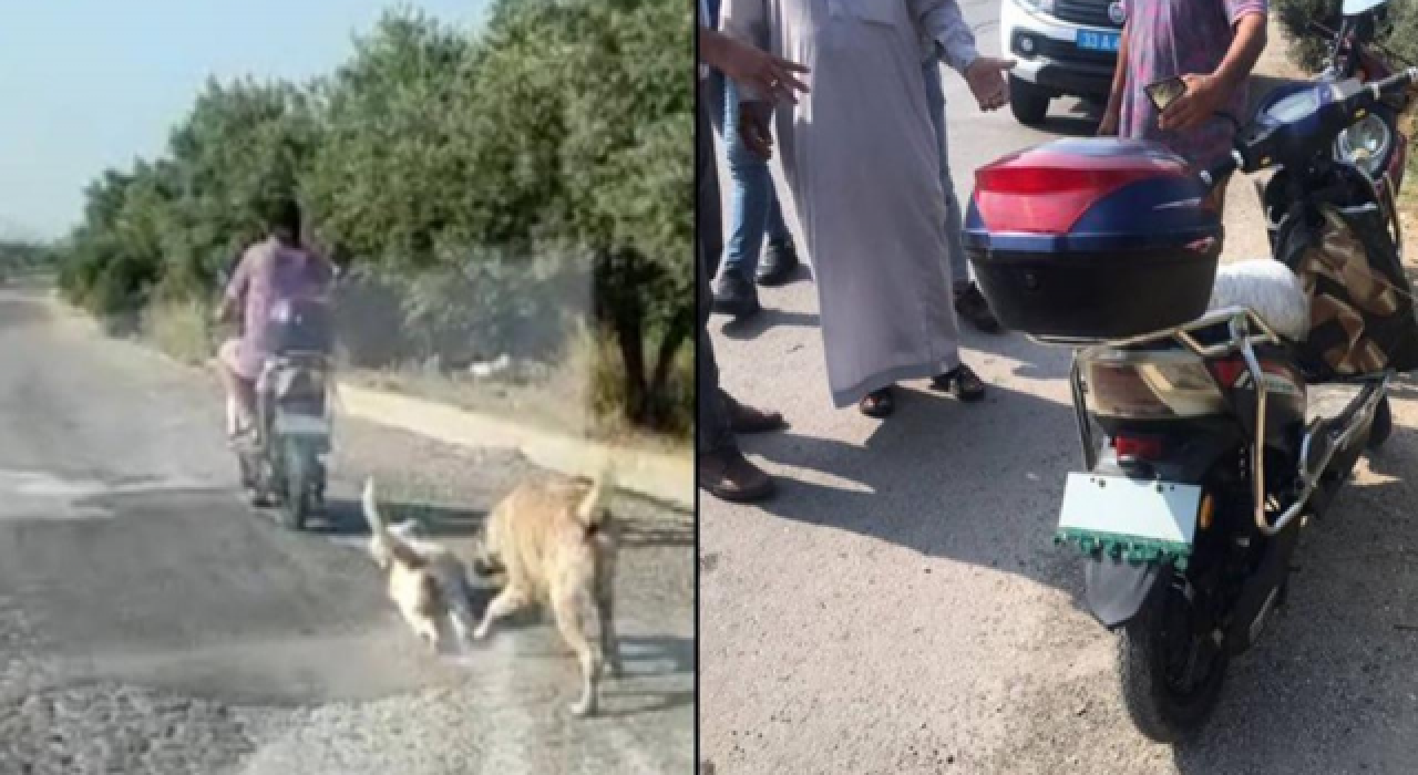 Elektrikli bisikletle köpeği  kilometrelerce sürükledi, bin 33 lira para cezası aldı!