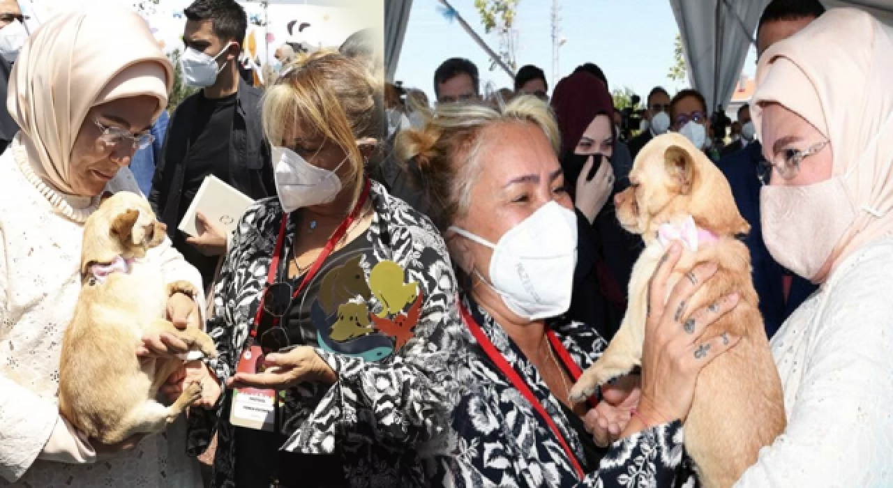 Emine Erdoğan ses telleri kesilen köpeği Yonca Evcimik'e emanet etti