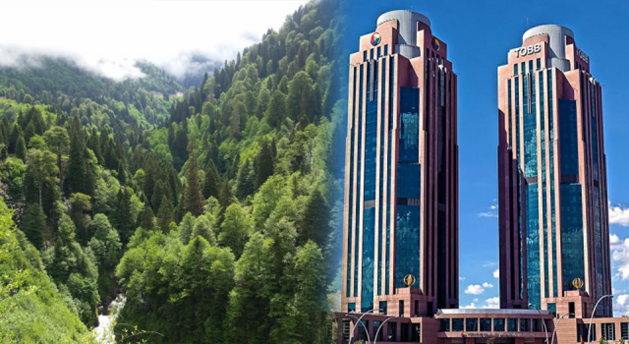 İş dünyasından "yeşil" seferberlik