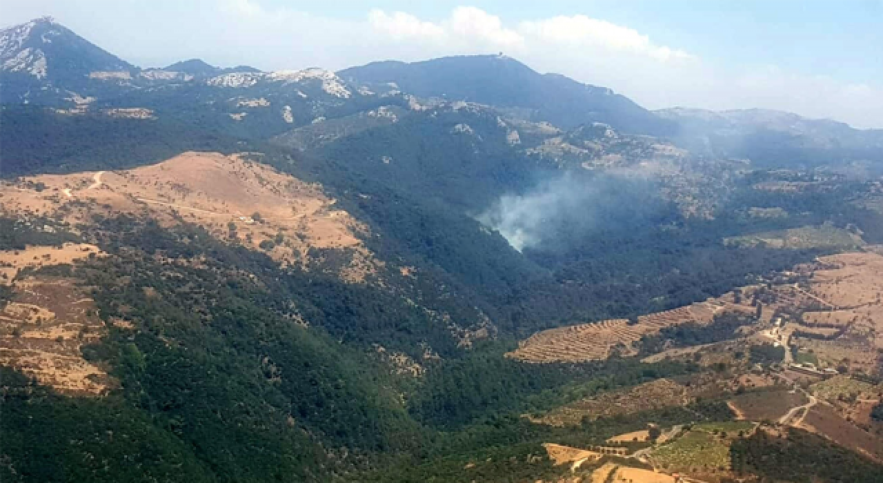 İzmir'de orman yangını: Havadan ve karadan müdahale ediliyor