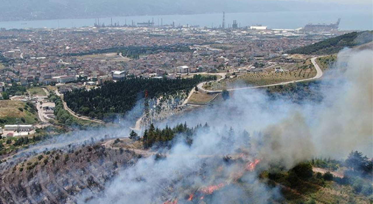 Kocaeli’de orman yangını çıktı: Ekiplerin müdahalesi sürüyor