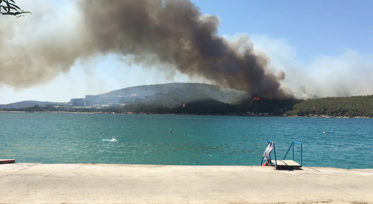 Kütahya, Bodrum ve Didim'de de orman yangınları çıktı