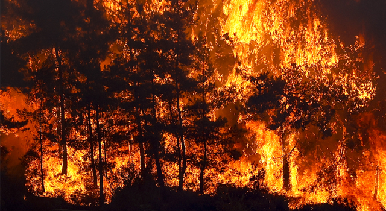Manavgat yanıyor! Mahalleler boşaltıldı, yangından 62 kişi etkilendi